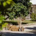 Masseria Rauccio Ξενοδοχείο Torre dell'Orso